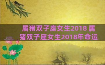 属猪双子座女生2018 属猪双子座女生2018年命运